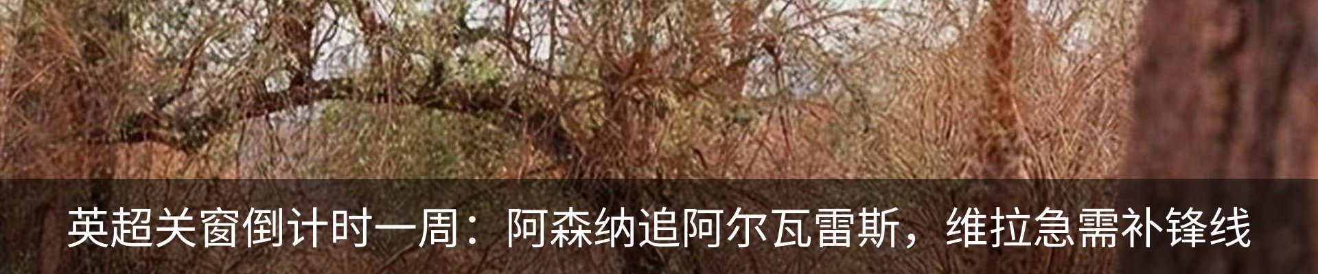 资讯中心